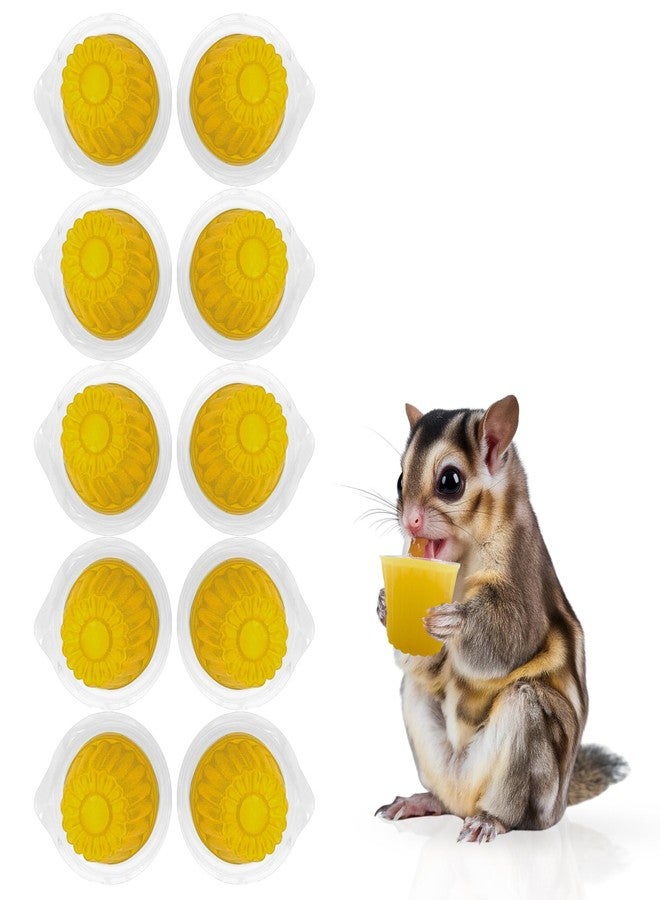 Snout and Shell Beetle Jelly for Exotic Pets - Nutrient-Rich Feeding Gel for Beetles, Insects, and Small Reptiles - Easy to Use, Mess-Free - Mango - Image 1